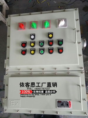 BXM51-6防爆照明配电箱 定制化解决方案引领安全用电新标杆